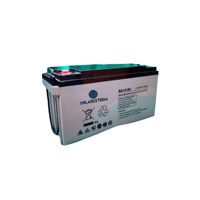 Bateria Seca 65 Ah12V - Imagen 1